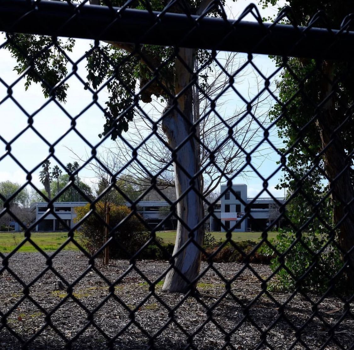 Chainlink Fencing